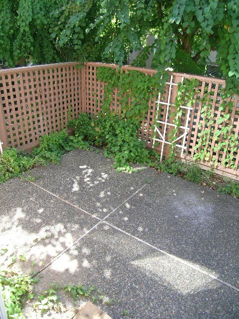 1 - 241 East 4th Street - Townhouse - Lonsdale - Photo 22 of 34