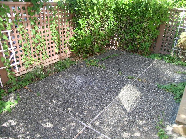 1 - 241 East 4th Street - Townhouse - Lonsdale - Photo 24 of 34