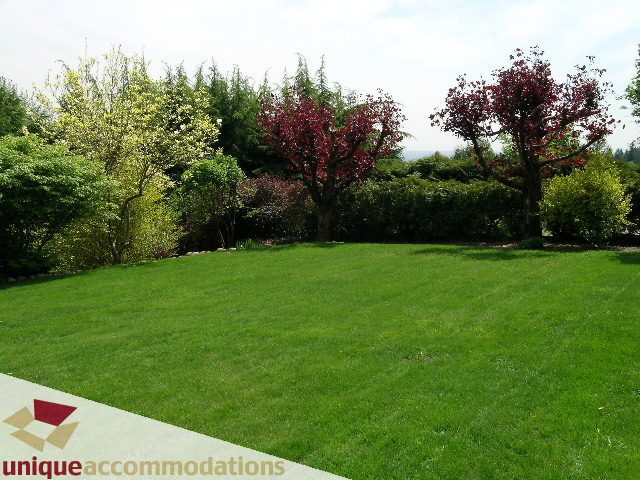 Lush green lawn with vibrant trees and a clear sky. - 94 Bonnymuir Drive, West Vancouver