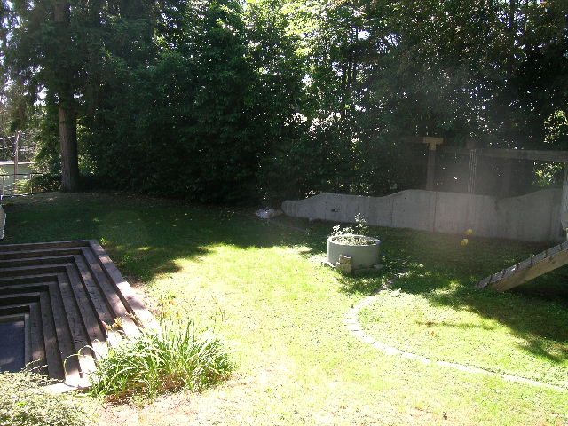 Spacious backyard with lush greenery, wooden steps, and a small garden bed. - 947 Huntingdon Crescent, North Vancouver