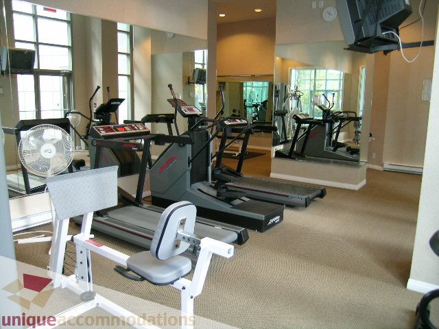 Furnished gym with cardio equipment, large mirrors, and natural light. - 603 - 1328 West Pender, Vancouver Downtown