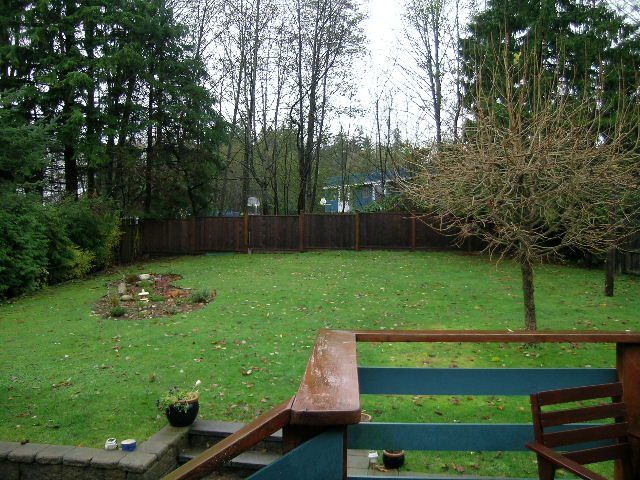 Backyard with wooden deck and grassy area, surrounded by trees. - 433 Fairway Drive, North Vancouver