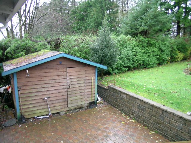 Bright backyard with wooden shed and brick patio, surrounded by lush greenery. - 433 Fairway Drive, North Vancouver