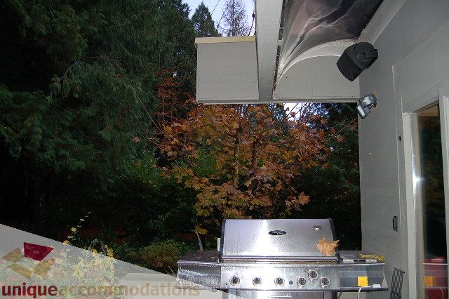 Bright kitchen with stainless steel appliances and a view of autumn foliage. - 6290 Collingwood Street, Vancouver West Side
