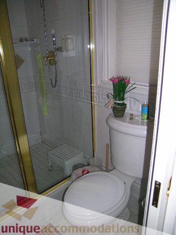 Furnished bathroom with glass shower and white toilet. - 1659 Langton Place, West Vancouver