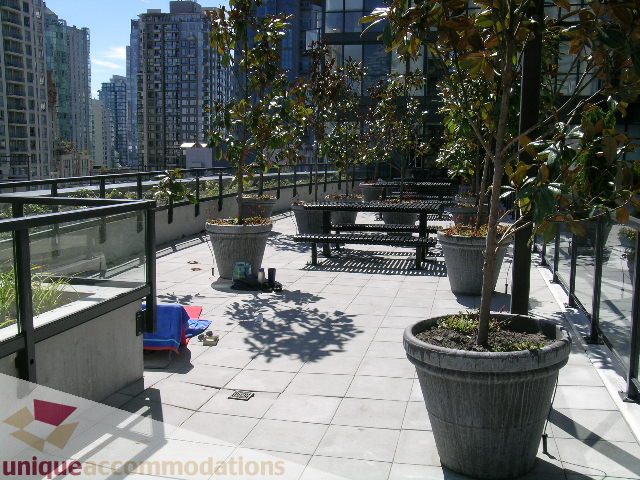 Furnished patio with city view, modern furnishings, and large potted plants. - 1135 Seymour Street, Vancouver Downtown