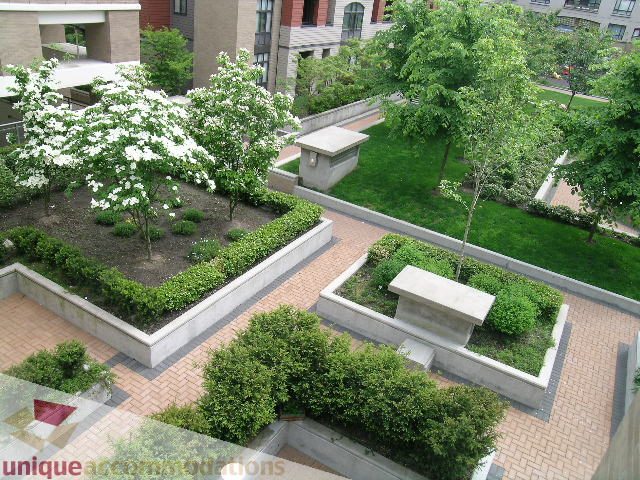 Furnished patio with lush greenery and brick pathways. - 305 - 1030 Quebec Street, Vancouver Downtown