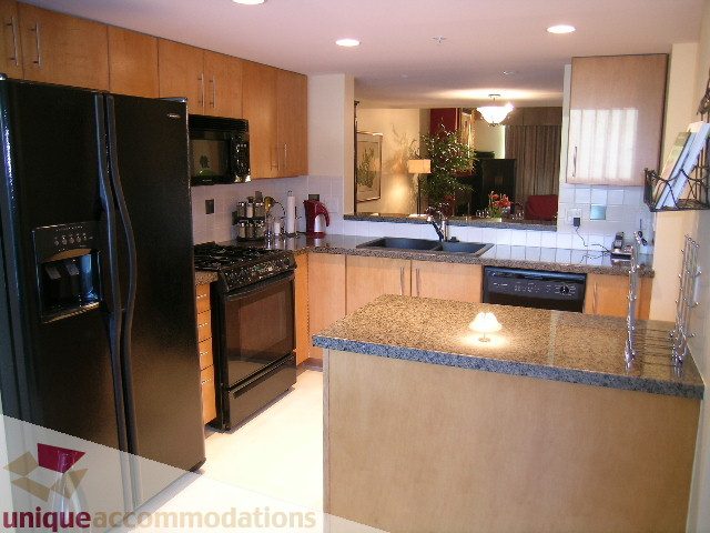 Bright kitchen with granite countertops, stainless steel appliances, and modern cabinetry. - 305 - 1030 Quebec Street, Vancouver Downtown