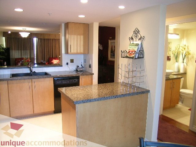 Bright kitchen with granite countertops and modern decor, open to a living area with a vase of flowers. - 305 - 1030 Quebec Street, Vancouver Downtown