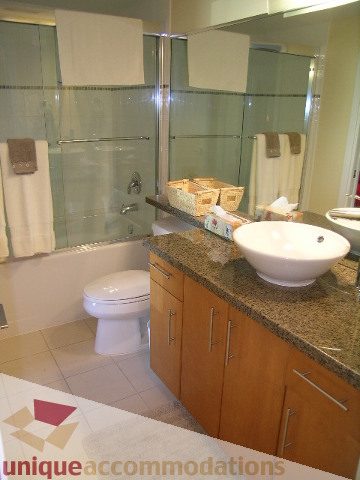 Furnished bathroom with granite countertops and wooden cabinets. - 305 - 1030 Quebec Street, Vancouver Downtown