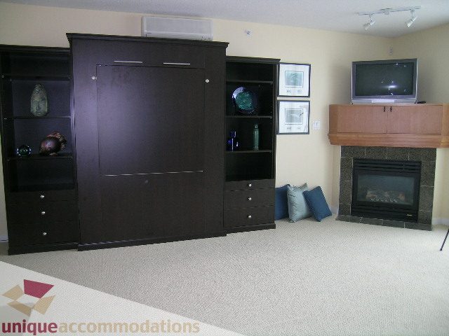 Living room with built-in entertainment center and fireplace. - 305 - 1030 Quebec Street, Vancouver Downtown