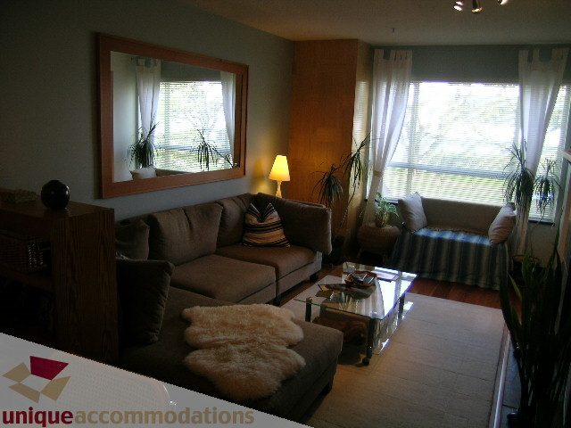 Furnished living room with cozy couches, large mirror, and natural light from windows. - 201-365 E 1st Ave, North Vancouver
