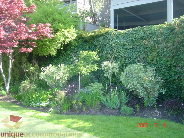 Landscaped garden with vibrant greenery and a red-leaved tree. - 100 Lions Bay Avenue, West Vancouver