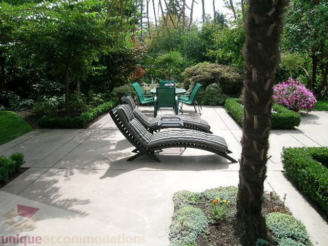 Furnished patio with lounge chairs, greenery, and a palm tree. - 455 Keith Road, West Vancouver