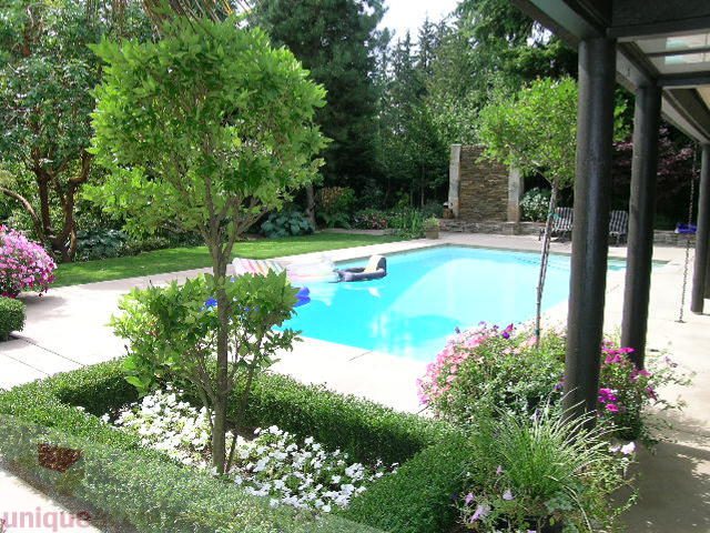 Spacious backyard with pool, lush greenery, and patio seating. - 455 Keith Road, West Vancouver