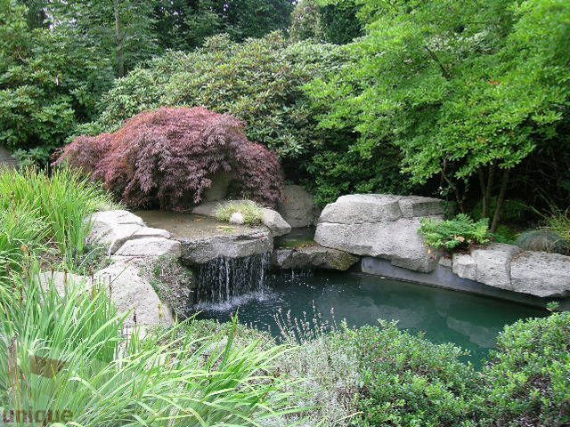 Furnished 4-bedroom + den with serene garden featuring a stone bridge and waterfall. - 455 Keith Road, West Vancouver