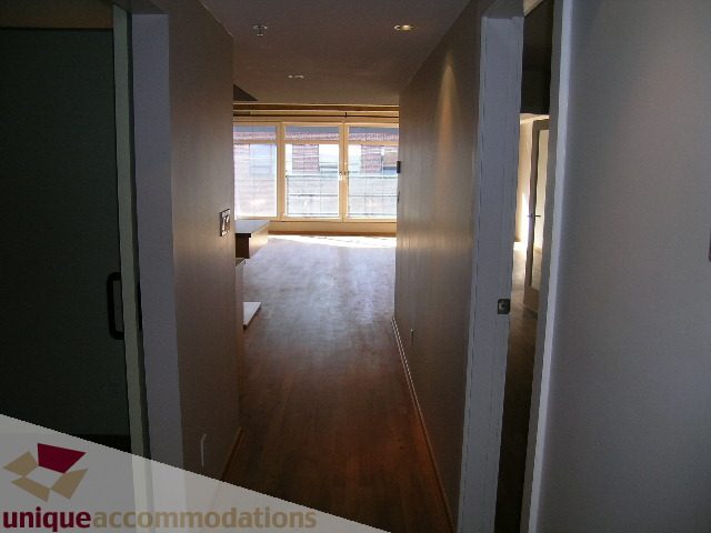 Furnished hallway leading to a bright living area with hardwood floors and large windows. - 402-1155 Mainland St, Vancouver Downtown