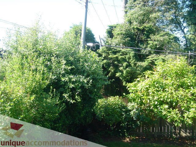 Fenced backyard with lush greenery and power lines visible. - 1475 W 33rd Ave, Vancouver West Side