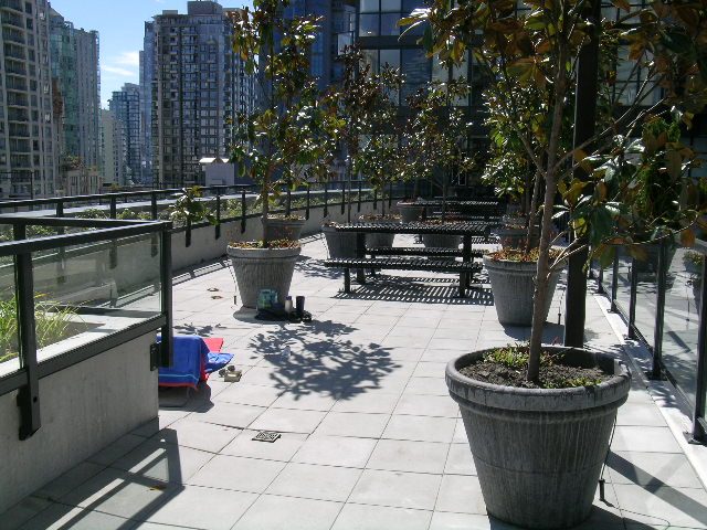 2304-1155 Seymour Street - Condo - Yaletown - Photo 29 of 37