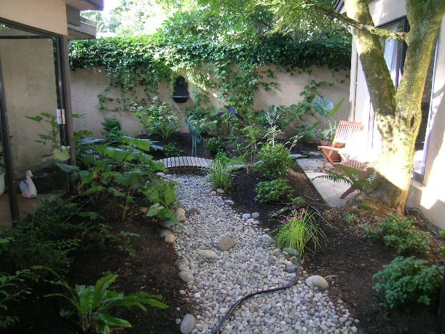 Spacious garden with ivy-covered walls and a serene stone pathway. - North Vancouver