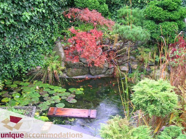 Furnished patio with lush greenery, water feature, and vibrant red maple tree. - 782 W 22nd Ave, Vancouver West Side