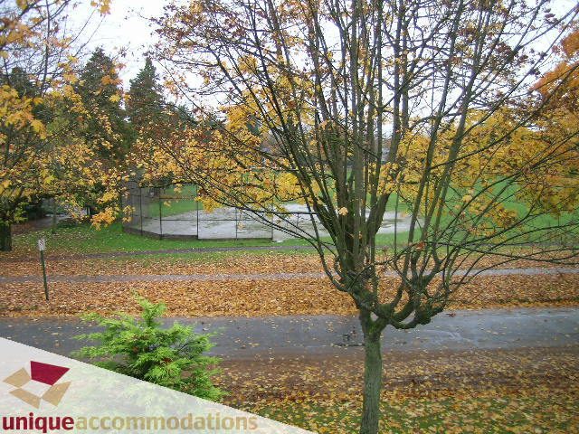 Furnished living room with autumn leaves and trees, peaceful park view. - 782 W 22nd Ave, Vancouver West Side