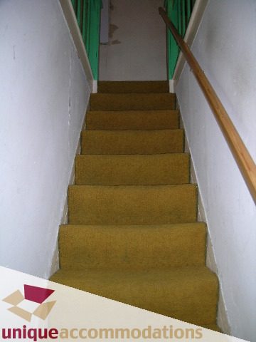 Staircase with carpeted steps and wooden handrail. - 782 W 22nd Ave, Vancouver West Side
