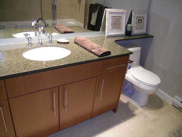 2705 - 550 Pacific Street - Condo - False Creek North - Photo 19 of 39