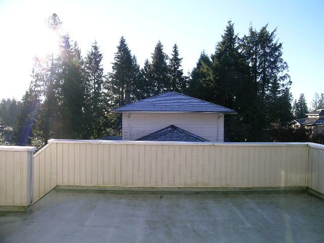 Spacious patio with a view of tall evergreen trees and a clear sky. - 3554 St. Andrews Avenue, North Vancouver