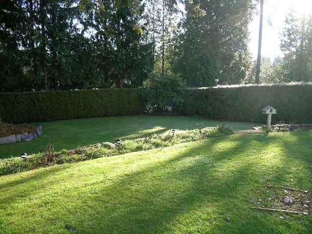 Spacious backyard with lush green lawn, neatly trimmed hedges, and tall trees providing shade. - 3554 St. Andrews Avenue, North Vancouver