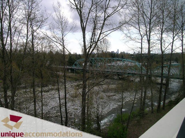 Bright balcony with view of river and bridge, surrounded by trees. - PH1 - 508 Waters Edge Cres., West Vancouver