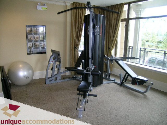 Bright gym with cardio equipment and large windows, offering a city view. - PH1 - 508 Waters Edge Cres., West Vancouver