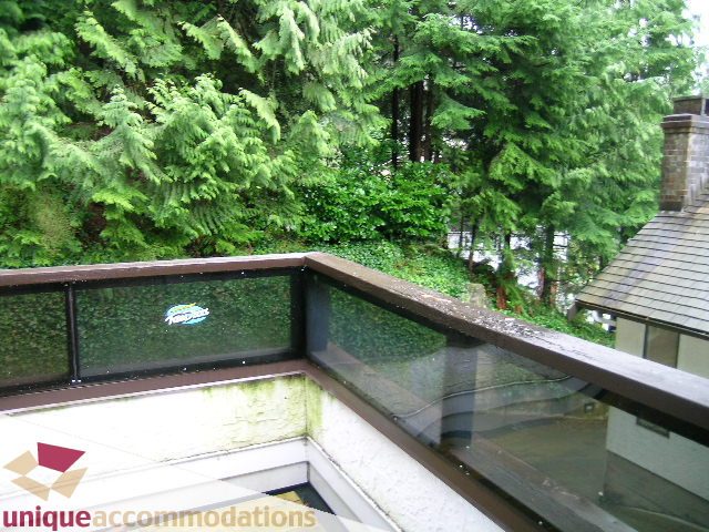 Bright kitchen with glass countertops and a view of lush green trees. - 5568 Greenleaf Road, West Vancouver