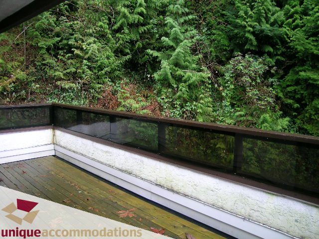 Balcony with glass railings and lush green forest view. - 5568 Greenleaf Road, West Vancouver