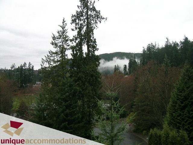 Furnished living room with a stunning forest view and misty mountains. - 5568 Greenleaf Road, West Vancouver