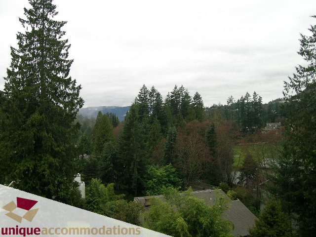 Bright living room with a stunning view of the forest and mountains. - 5568 Greenleaf Road, West Vancouver