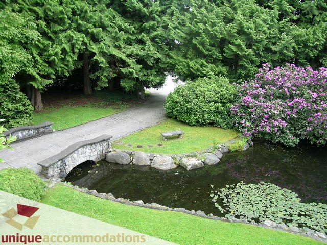 Furnished garden with pond, lily pads, and blooming flowers. - 419 Inglewood ave, West Vancouver