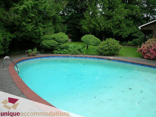 Spacious outdoor pool with lush greenery and vibrant flowers. - 419 Inglewood ave, West Vancouver