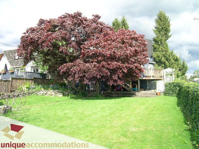 Furnished living room with a large tree and green lawn. - 1505 Grand Blvd., North Vancouver
