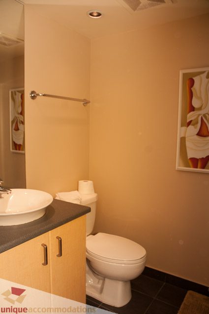 Bathroom with modern sink, wooden cabinets, and framed artwork. - 508-155 West 1st Street, North Vancouver