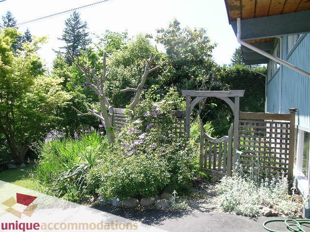 Fenced garden with lush greenery and wooden arbor, leading to a house with a light blue exterior. - 2556 Belloc Street, North Vancouver
