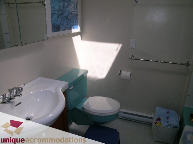 Furnished bathroom with teal toilet and white sink, natural light streaming in. - 2556 Belloc Street, North Vancouver