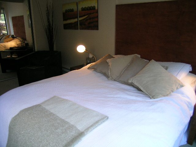 202 - 1155 Homer Street - Condo - Yaletown - Photo 18 of 37