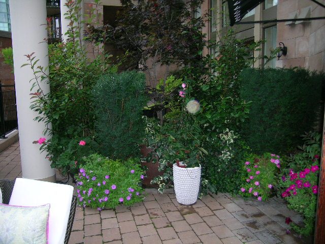 Bright patio with lush greenery and vibrant flowers, perfect for relaxation. - 202 -1280 Richards Street, Vancouver Downtown