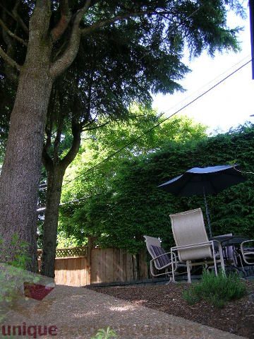 Furnished patio with outdoor furniture and a tree providing shade. - 4104 Sunnycrest drive, North Vancouver