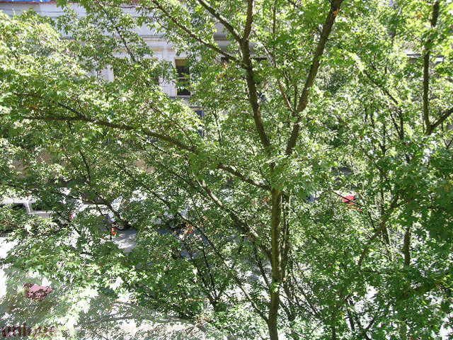 Bright living room with large windows, greenery, and city view. - 405 - 233 Abbott Street, Vancouver Downtown