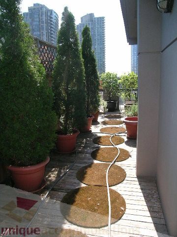 Bright balcony with potted plants and city view. - 408 - 1066 Hamilton Street, Vancouver Downtown