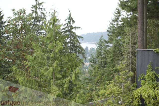 Furnished living room with a stunning view of the bay and forest. - 3781 Bayridge Ave, West Vancouver