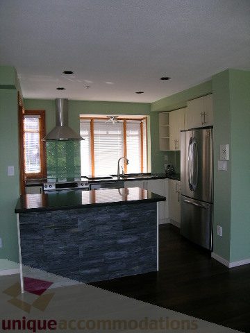 Bright kitchen with dark stone countertops and stainless steel appliances, featuring a modern design. - 137 Alexander Street, Vancouver Downtown