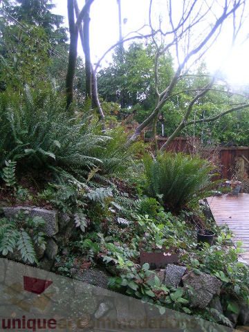 Furnished living room with lush greenery and wooden deck. - 250 Rockland Road West, North Vancouver